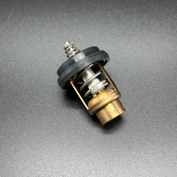 Термостат THERMOSTAT (Quicksilver)