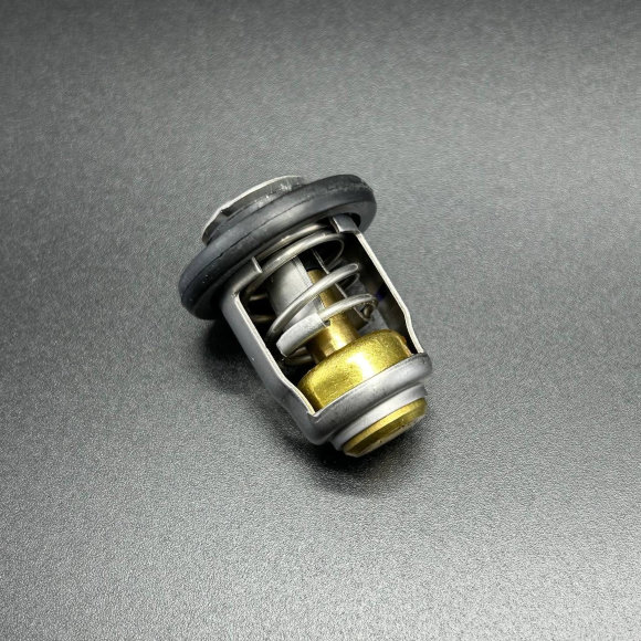 Термостат THERMOSTAT (Quicksilver)