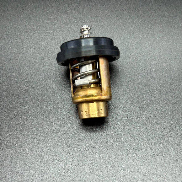 Термостат THERMOSTAT (Quicksilver)