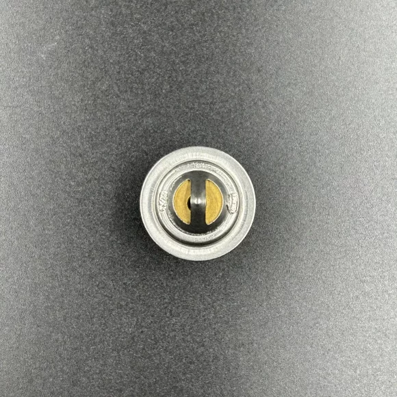 Термостат Mercury 40-60 (Sinera)