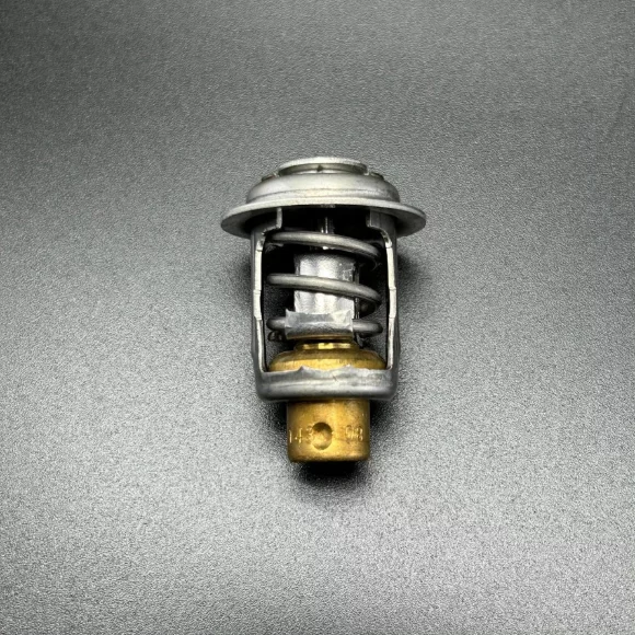 Термостат THERMOSTAT (Quicksilver)